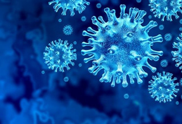 গত ২৪ ঘন্টায় করোনায় ৩ জন মারা গেছেন