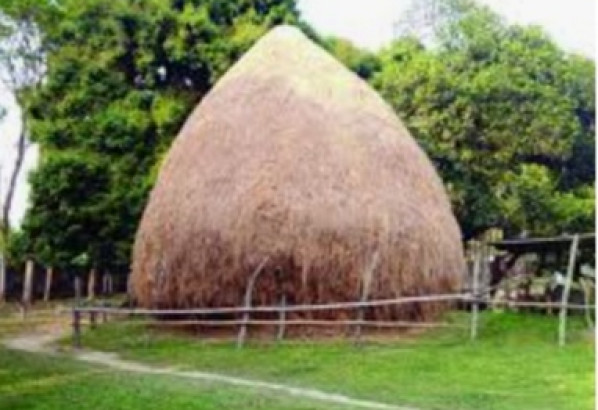 খড় পচে গো-খাদ্য সংকট, গরু পালনে বিপাকে দোয়ারাবাজারের খামারীরা