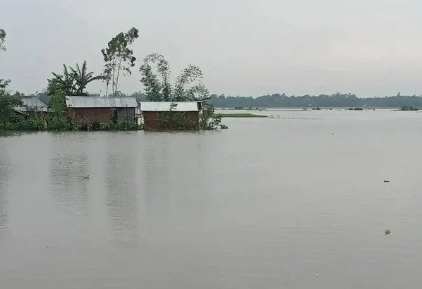 মৌলভীবাজারে পানিবন্দি ৫ শতাধিক পরিবার