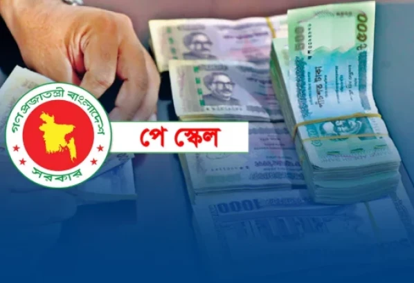 নবম পে স্কেল: বেসিকের হাফ বেতনে কোন গ্রেডে কত বাড়ছে