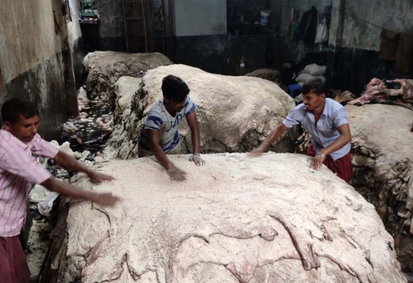 সিলেটে এক লাখ ১২ হাজার কোরবানির পশুর কাঁচা চামড়া সংরক্ষণ
