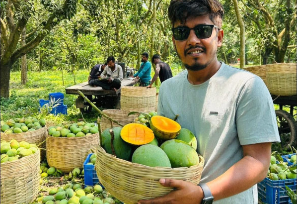 সিলেটে ১৮ দিনে ১২ টন আম বিক্রি করে দৃষ্টান্ত স্থাপন করছেন তরুণ উদ্যোক্তা জাহাঙ্গীর