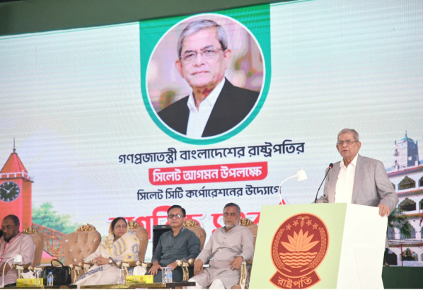 গণতন্ত্র পেয়েছি, রক্ষা করা এখন সবচেয়ে বড় দায়িত্ব: রাষ্ট্রপতি