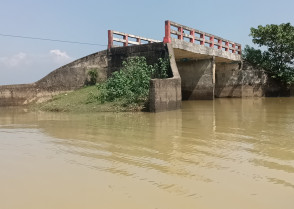 শিক্ষাপ্রতিষ্ঠান