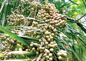 শিক্ষাপ্রতিষ্ঠান