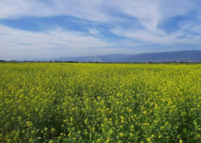 শিক্ষাপ্রতিষ্ঠান