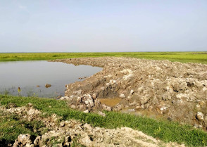 শিক্ষাপ্রতিষ্ঠান