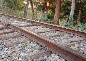 শিক্ষাপ্রতিষ্ঠান