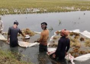 শিক্ষাপ্রতিষ্ঠান