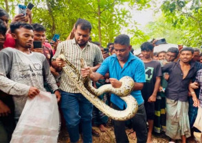 শিক্ষাপ্রতিষ্ঠান